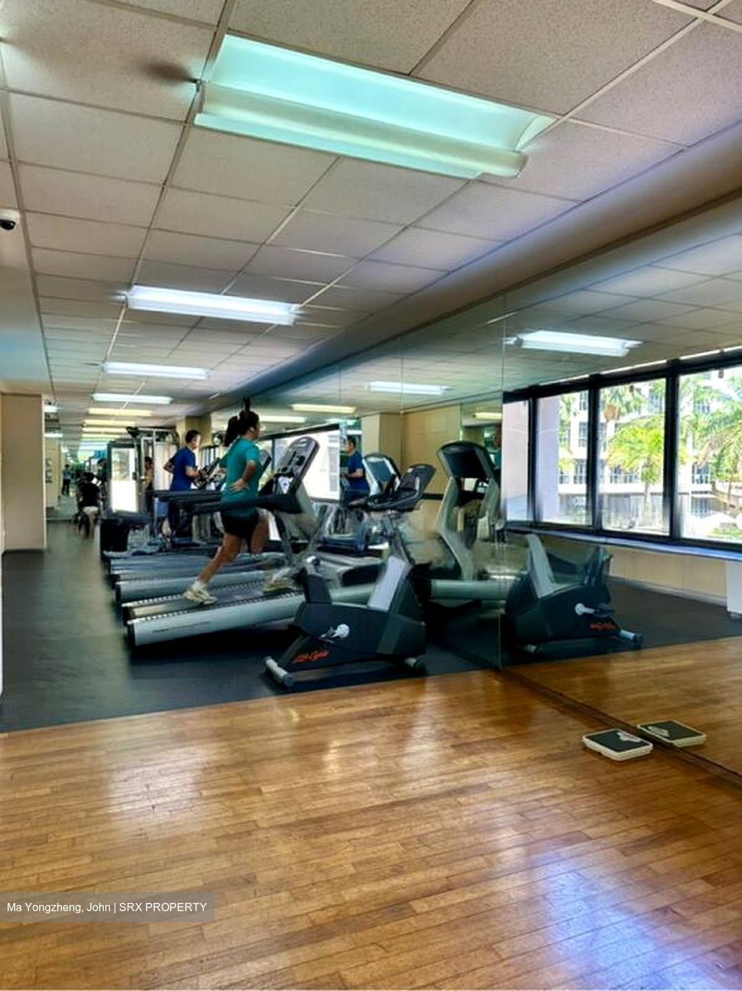 Carissa Park Condominium (D17), Condominium #506887081